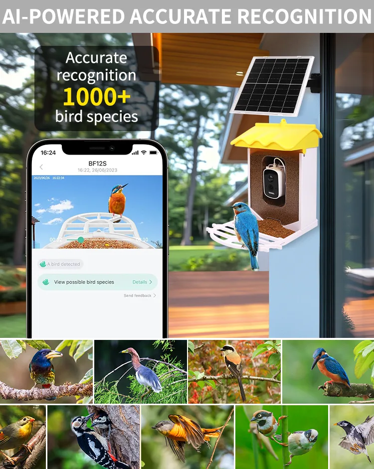 Smart 3.2L Squirrel-Proof Bird Feeder with Automatic Motion Detection Outdoor Wireless WiFi Bird Watching Camera - detail view 7