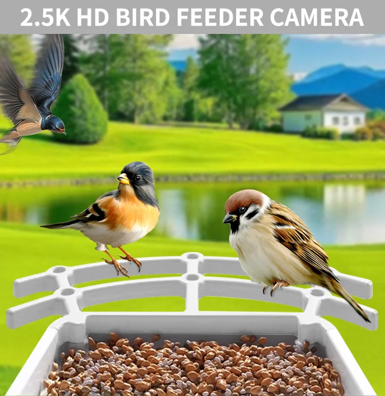 Smart 3.2L Squirrel-Proof Bird Feeder with Automatic Motion Detection Outdoor Wireless WiFi Bird Watching Camera - detail view 11
