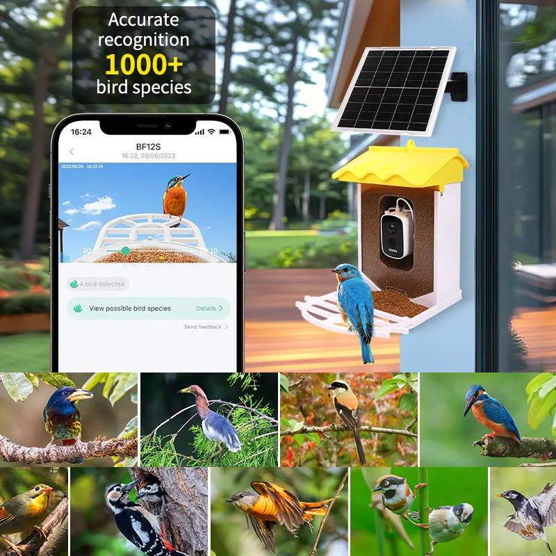 Smart 3.2L Squirrel-Proof Bird Feeder with Automatic Motion Detection Outdoor Wireless WiFi Bird Watching Camera - detail view 1