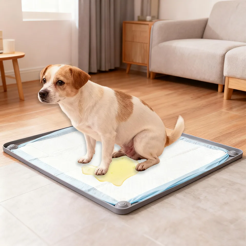 Moderno reutilizable silicona Magnetic perro pipí almohadilla soporte Wall-Attached - main product image