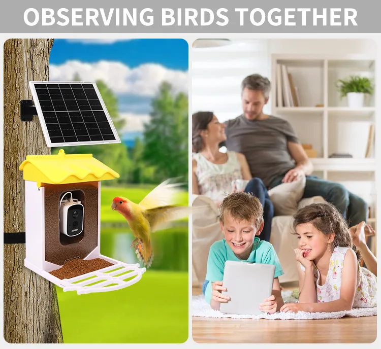 Smart 3.2L Squirrel-Proof Bird Feeder with Automatic Motion Detection Outdoor Wireless WiFi Bird Watching Camera - detail view 9