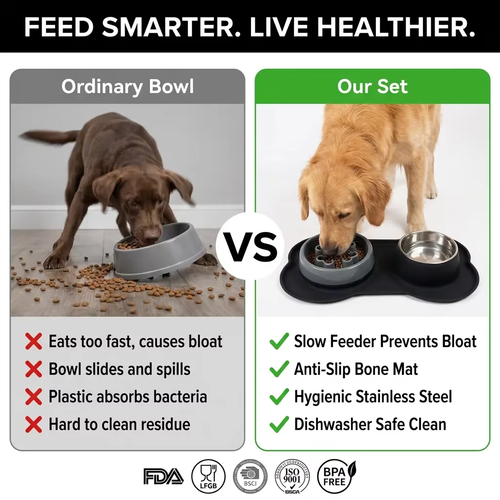 Silicone Pet Bowl for Dogs and Cats Feeder Bowls for Pets Dog Food Bowl with No-Spill and Non-Slip Design - detail view 7